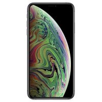 смартфон Apple iPhone Xs Max MT532RU/A серый