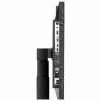 монитор ASUS PA249Q Черный