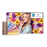 профессиональный дисплей BenQ SL6502K