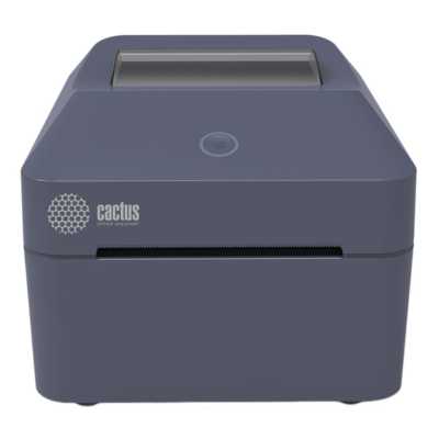 принтер Cactus CS-TP-D430U черный