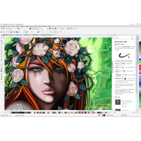 графика и моделирование CorelDRAW Graphics Suite 2017 LCCDGS2017MLCRA
