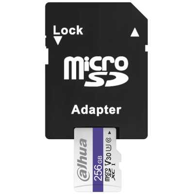 карта памяти Dahua C100A 256GB DHI-TF-C100A-256GB