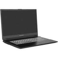 ноутбук Dream Machines RG3060-17EU39 Черный