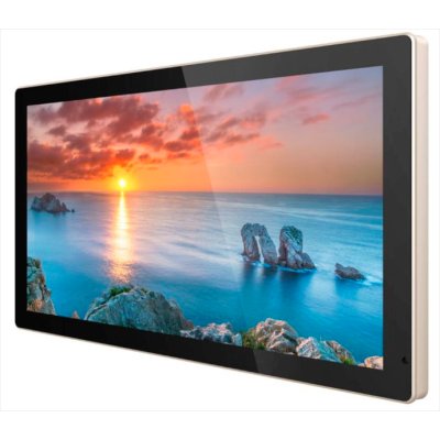 профессиональный дисплей GoodView TC22H1