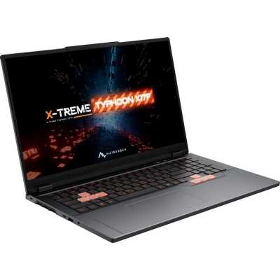 ноутбук Maibenben X17F-R989560G34LG4E10 Серый
