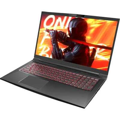 ноутбук Maibenben X725 X725FSFNLBRE0 Черный