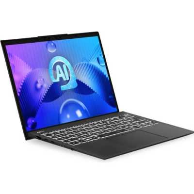 ноутбук MSI Prestige 13 AI Evo A1MG-207XRU-wpro Серый