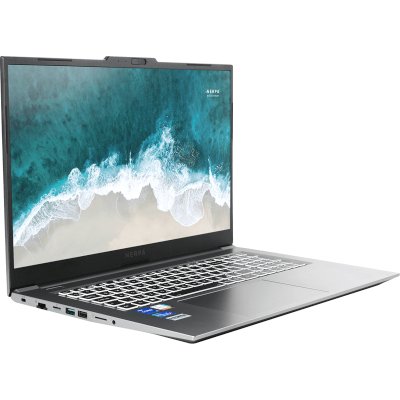 ноутбук Nerpa Caspica I552-17VA085202G Серый