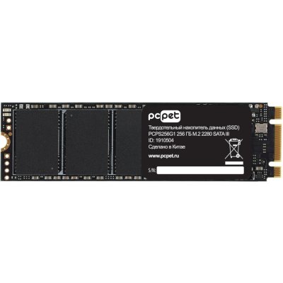 SSD диск PC PET 256Gb PCPS256G1 Черный