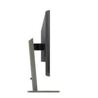 монитор Philips 439P1/00 Черный