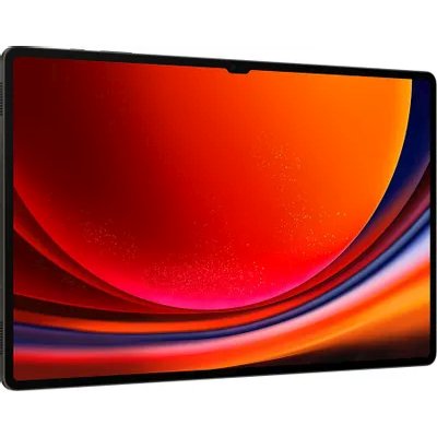 планшет Samsung Galaxy Tab S9 Ultra 5G SM-X916BZAECAU Графит