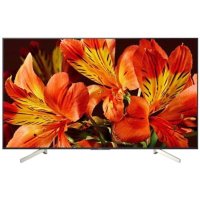 телевизор Sony KD-49XF8596
