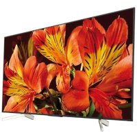 телевизор Sony KD-65XF8596