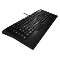 клавиатура SteelSeries Apex Raw