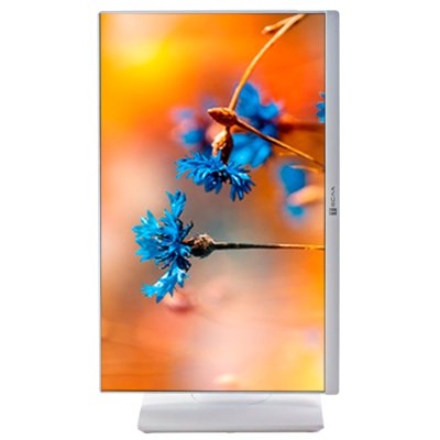 моноблок Тесла P24 i3-12100/8GB/512GB/P24WP Back to School Белый