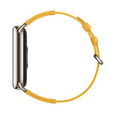 ремешок Xiaomi BHR7305GL